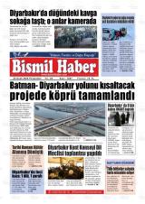 BİSMİL HABER