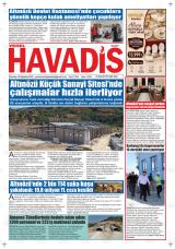 YEREL HAVADİS