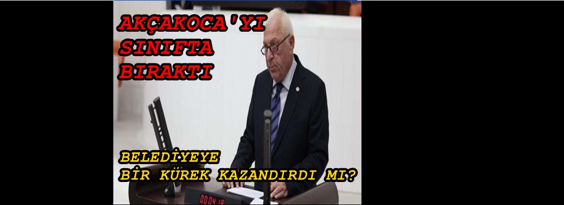 BİR KÜREK DAHİ FAYDASI OLDU MU?