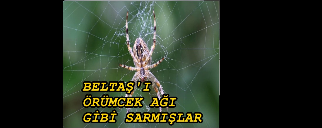 BELTAŞ’I ZEHİRLİ ÖRÜMCEK GİBİ SARMIŞLAR! USULSÜZLÜKLER AĞI MI KURULDU?