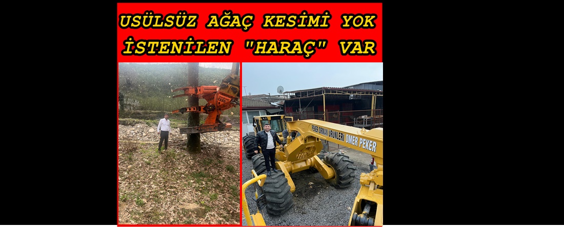MÜHÜRSÜZ AĞAÇLARA DOKUNULMAMIŞ, HARAÇ İSTENİLDİ İDDİASI