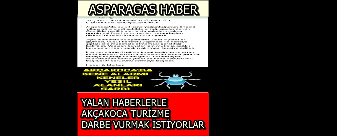 AKÇAKOCA’DA KENE YOĞUNLUĞU HABERLERİ TAMAMEN YALANDIR