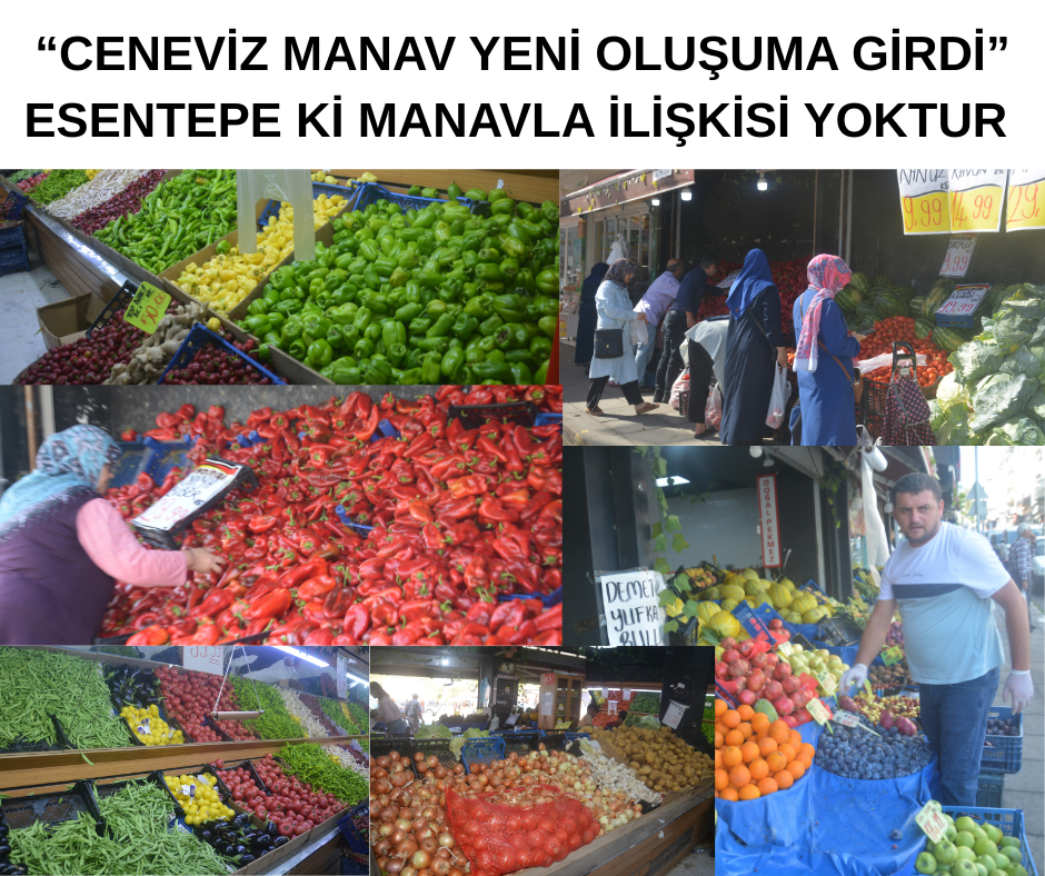 Ceneviz Manav Yeni Oluşuma Girdi